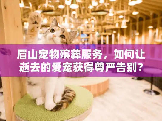 眉山宠物殡葬服务，如何让逝去的爱宠获得尊严告别？