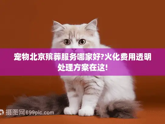 宠物北京殡葬服务哪家好?火化费用透明处理方案在这!