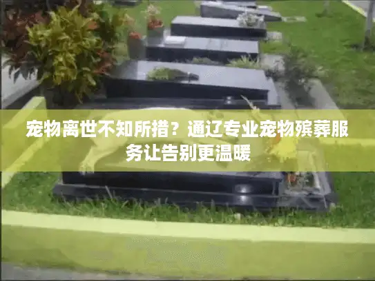 宠物离世不知所措？通辽专业宠物殡葬服务让告别更温暖
