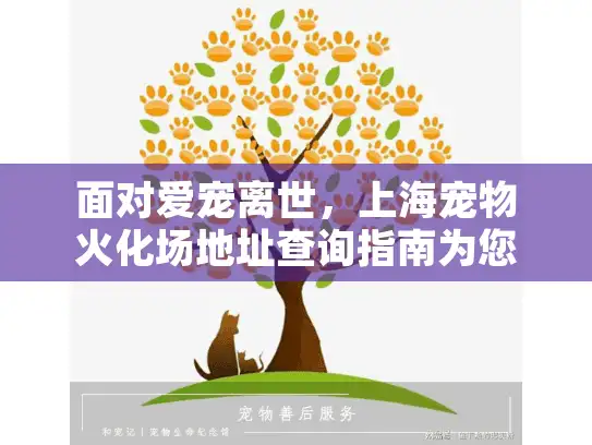 面对爱宠离世，上海宠物火化场地址查询指南为您解忧