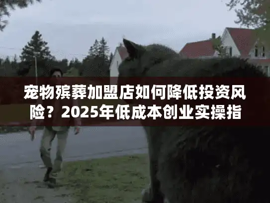 宠物殡葬加盟店如何降低投资风险？2025年低成本创业实操指南