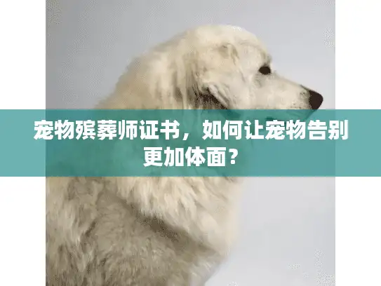 宠物殡葬师证书，如何让宠物告别更加体面？