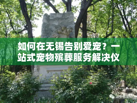 如何在无锡告别爱宠？一站式宠物殡葬服务解决仪式感难题