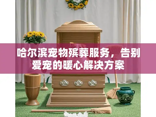 哈尔滨宠物殡葬服务，告别爱宠的暖心解决方案