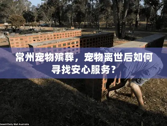 常州宠物殡葬，宠物离世后如何寻找安心服务？