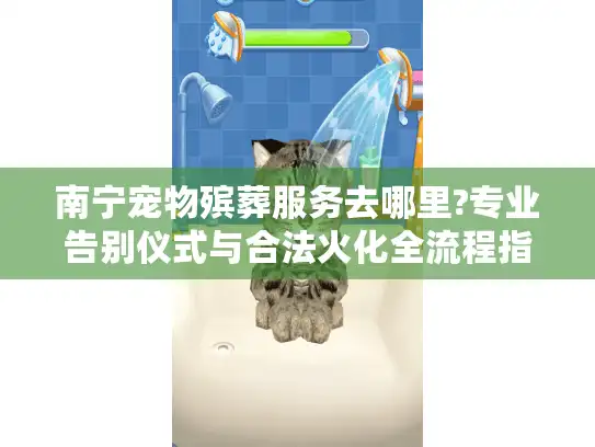 南宁宠物殡葬服务去哪里?专业告别仪式与合法火化全流程指南