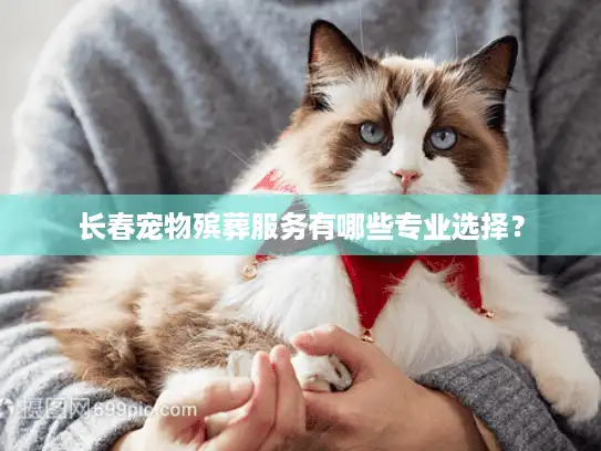 长春宠物殡葬服务有哪些专业选择？