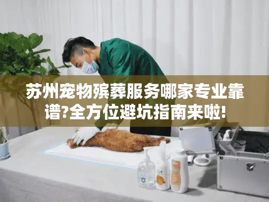 苏州宠物殡葬服务哪家专业靠谱?全方位避坑指南来啦!