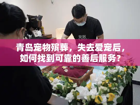 青岛宠物殡葬，失去爱宠后，如何找到可靠的善后服务？