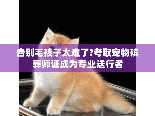告别毛孩子太难了?考取宠物殡葬师证成为专业送行者