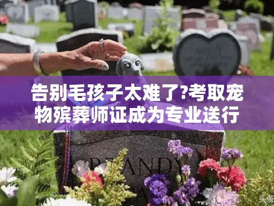 告别毛孩子太难了?考取宠物殡葬师证成为专业送行者