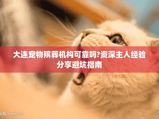 大连宠物殡葬机构可靠吗?资深主人经验分享避坑指南