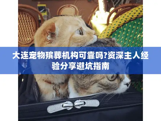 大连宠物殡葬机构可靠吗?资深主人经验分享避坑指南
