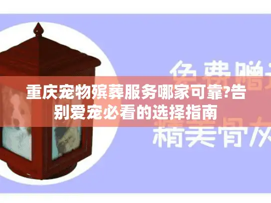 重庆宠物殡葬服务哪家可靠?告别爱宠必看的选择指南