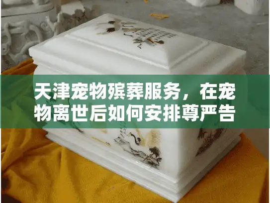天津宠物殡葬服务，在宠物离世后如何安排尊严告别？