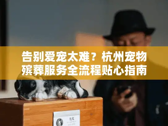 告别爱宠太难？杭州宠物殡葬服务全流程贴心指南