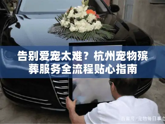 告别爱宠太难？杭州宠物殡葬服务全流程贴心指南