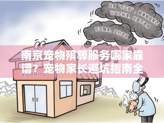 南京宠物殡葬服务哪家靠谱？宠物家长避坑指南全解析