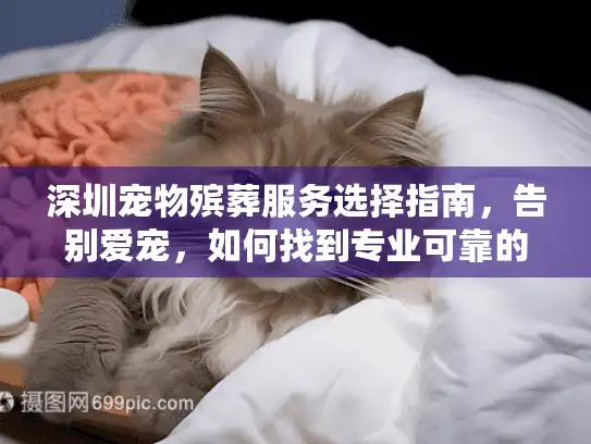 深圳宠物殡葬服务选择指南，告别爱宠，如何找到专业可靠的支持？