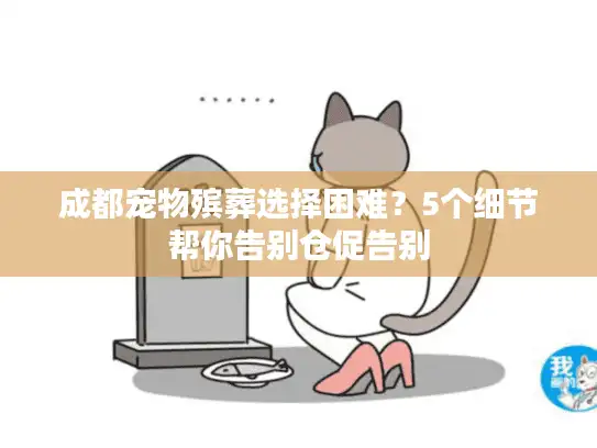 成都宠物殡葬选择困难？5个细节帮你告别仓促告别