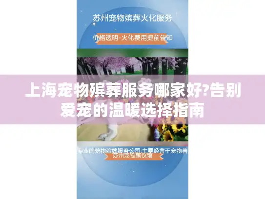上海宠物殡葬服务哪家好?告别爱宠的温暖选择指南