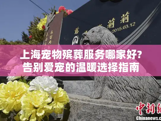 上海宠物殡葬服务哪家好?告别爱宠的温暖选择指南