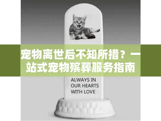 宠物离世后不知所措？一站式宠物殡葬服务指南