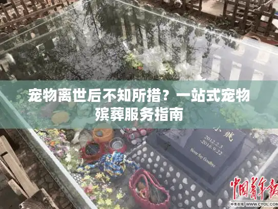 宠物离世后不知所措？一站式宠物殡葬服务指南