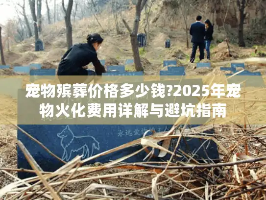 宠物殡葬价格多少钱?2025年宠物火化费用详解与避坑指南