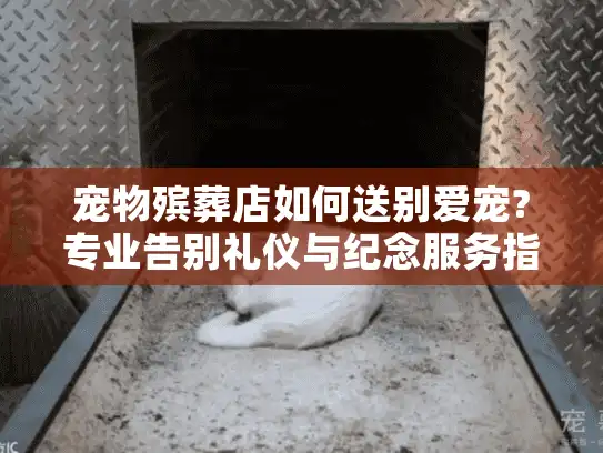 宠物殡葬店如何送别爱宠?专业告别礼仪与纪念服务指南