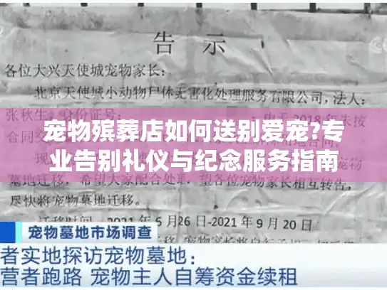 宠物殡葬店如何送别爱宠?专业告别礼仪与纪念服务指南