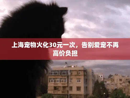 上海宠物火化30元一次，告别爱宠不再高价负担