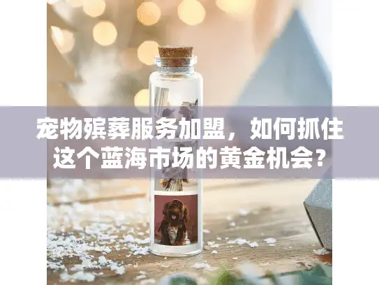 宠物殡葬服务加盟，如何抓住这个蓝海市场的黄金机会？