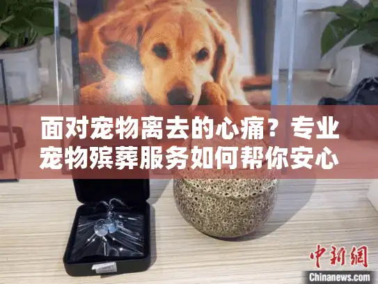 面对宠物离去的心痛？专业宠物殡葬服务如何帮你安心告别（47字符）