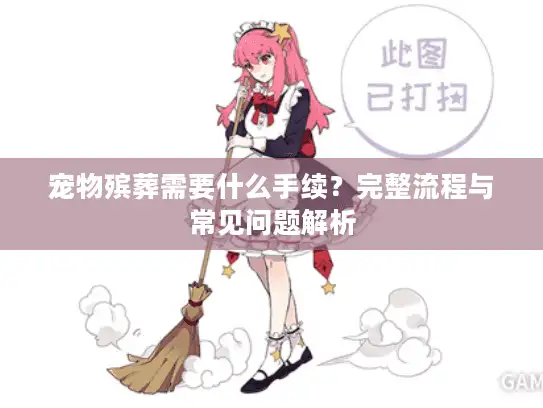 宠物殡葬需要什么手续？完整流程与常见问题解析