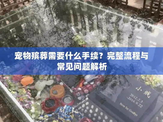 宠物殡葬需要什么手续？完整流程与常见问题解析