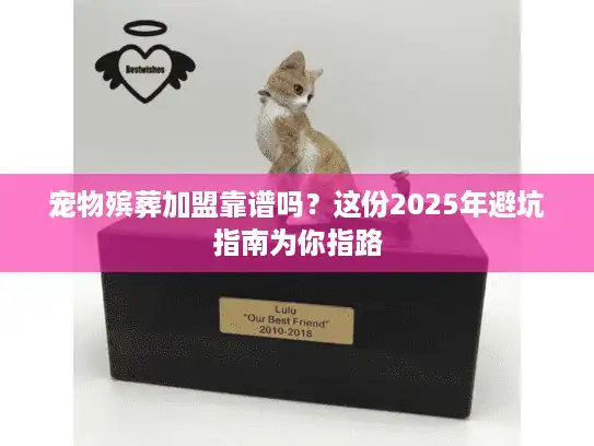 宠物殡葬加盟靠谱吗？这份2025年避坑指南为你指路