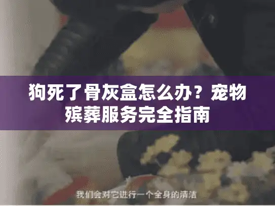 狗死了骨灰盒怎么办？宠物殡葬服务完全指南
