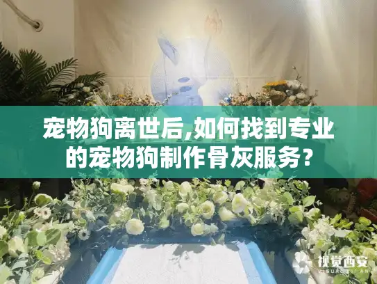 宠物狗离世后,如何找到专业的宠物狗制作骨灰服务？
