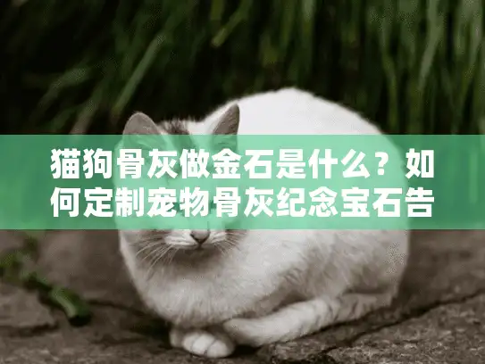 猫狗骨灰做金石是什么？如何定制宠物骨灰纪念宝石告别爱宠？