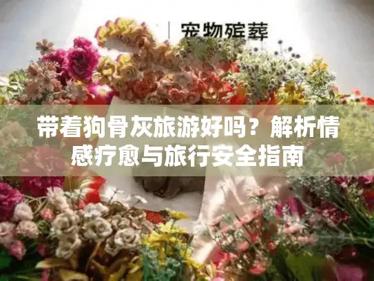 带着狗骨灰旅游好吗？解析情感疗愈与旅行安全指南
