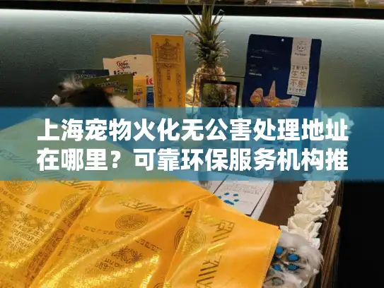 上海宠物火化无公害处理地址在哪里？可靠环保服务机构推荐