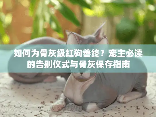 如何为骨灰级红狗善终？宠主必读的告别仪式与骨灰保存指南