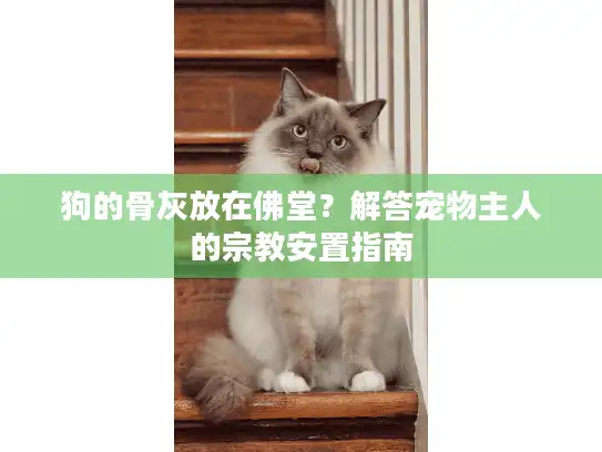 狗的骨灰放在佛堂？解答宠物主人的宗教安置指南