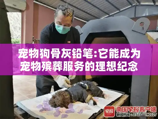 宠物狗骨灰铅笔:它能成为宠物殡葬服务的理想纪念选择吗?