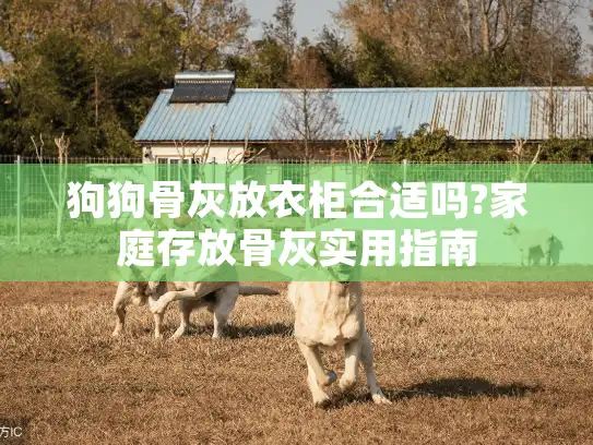 狗狗骨灰放衣柜合适吗?家庭存放骨灰实用指南