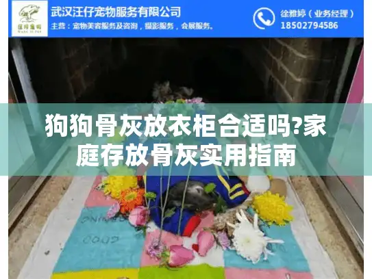 狗狗骨灰放衣柜合适吗?家庭存放骨灰实用指南