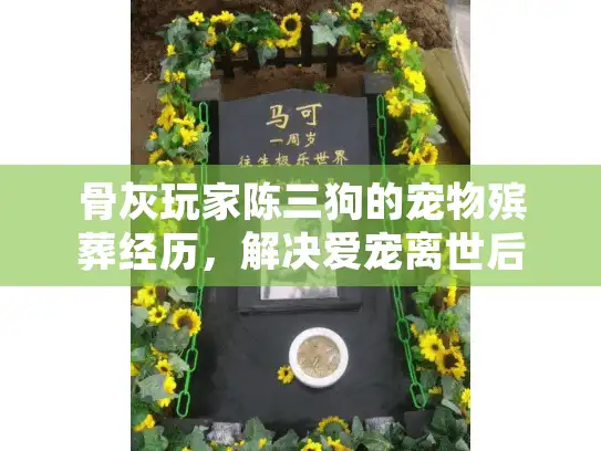 骨灰玩家陈三狗的宠物殡葬经历，解决爱宠离世后的无助困境