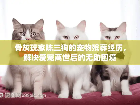 骨灰玩家陈三狗的宠物殡葬经历，解决爱宠离世后的无助困境