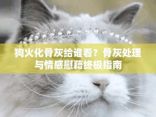 狗火化骨灰给谁看？骨灰处理与情感慰藉终极指南